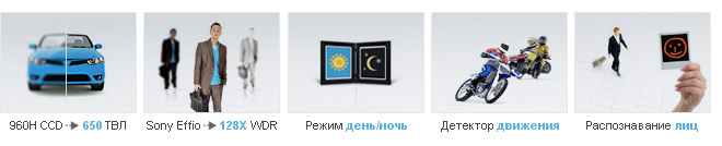 картин1